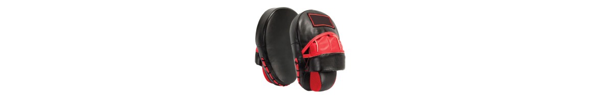 Focus Mitts